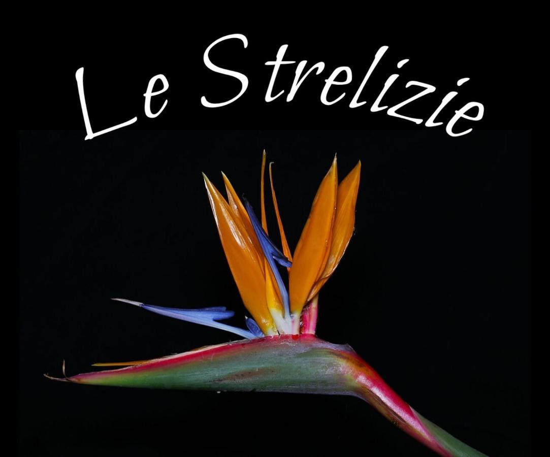 Appartement Le Strelizie à Arnesano Extérieur photo